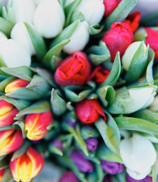 Flower market in Amsterdam