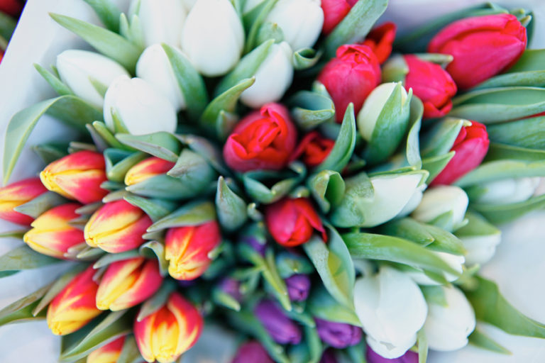 Flower market in Amsterdam