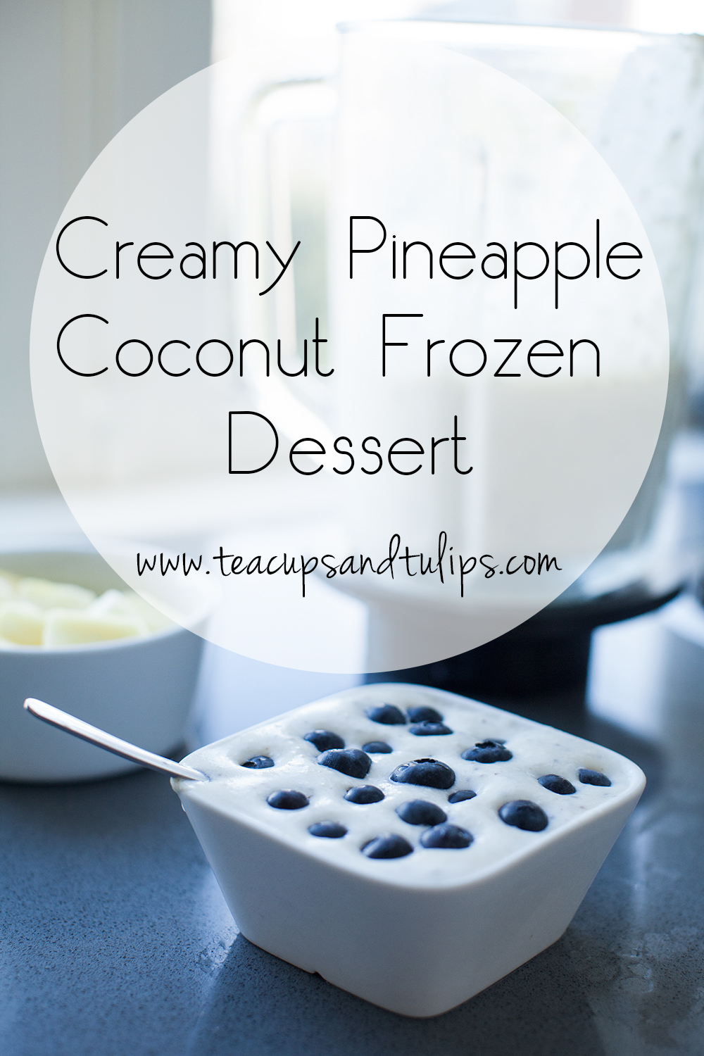 Creamy coconut frozen dessert
