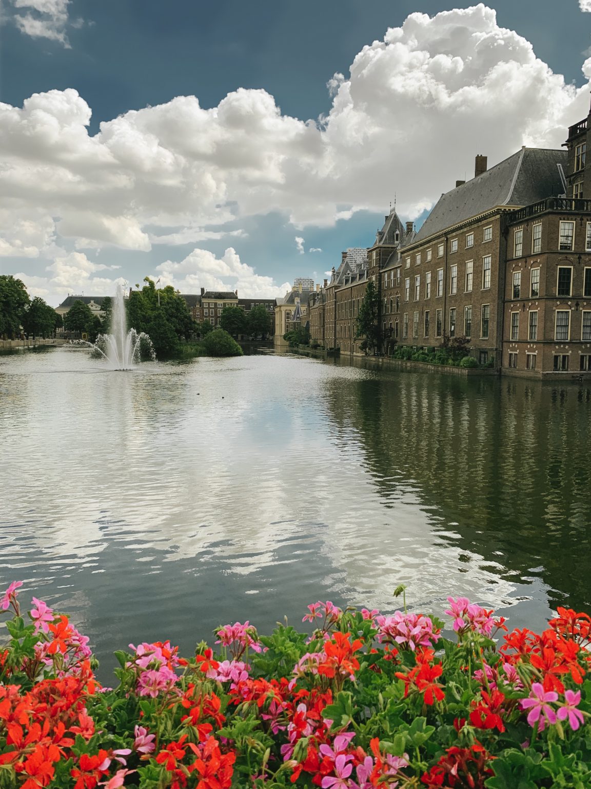 Food Guide: Best Places To Eat & Drink in The Hague - Tea Cups & Tulips