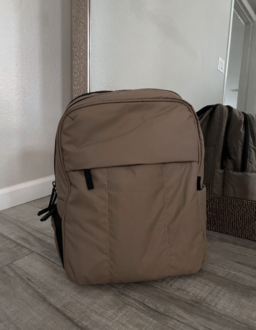 Calpak Luka Backpack Review